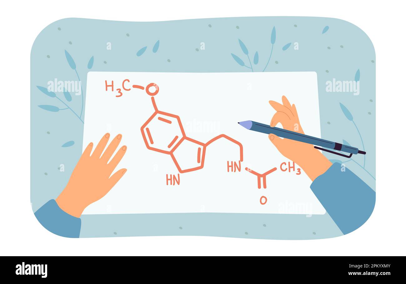 Hands of person drawing melatonin structure on paper Stock Vector