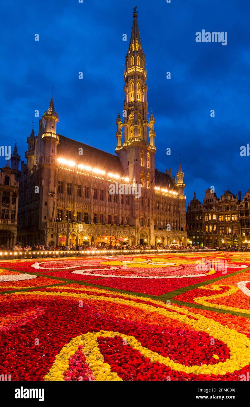 Brussels Grand Place Brussels Flower Carpet at night illuminated in the Grand Place Brussels Belgium EU Europe Stock Photo