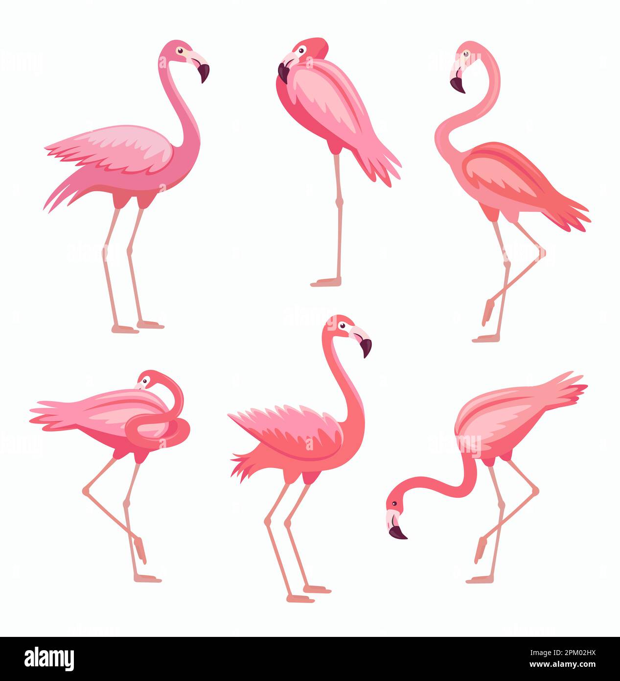 Flamingo in different poses cartoon illustration set Stock Vector Image ...