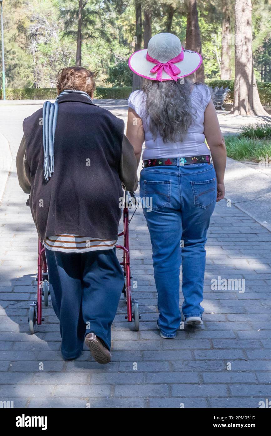Rear view of accompanying carer next to an elderly woman walking with her walker in public park, daughter supporting her mother and enjoying in sunny Stock Photo