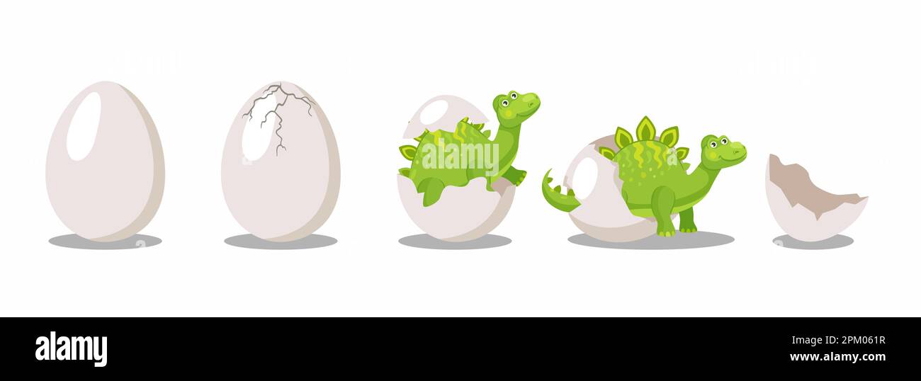 Stages of hatching dinosaur from egg cartoon illustration set Stock