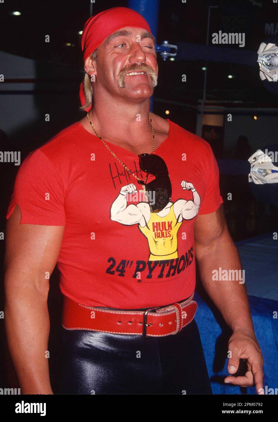 1991Hulk Hogan Photo by John Barrett/PHOTOlink / MediaPunch Stock Photo ...