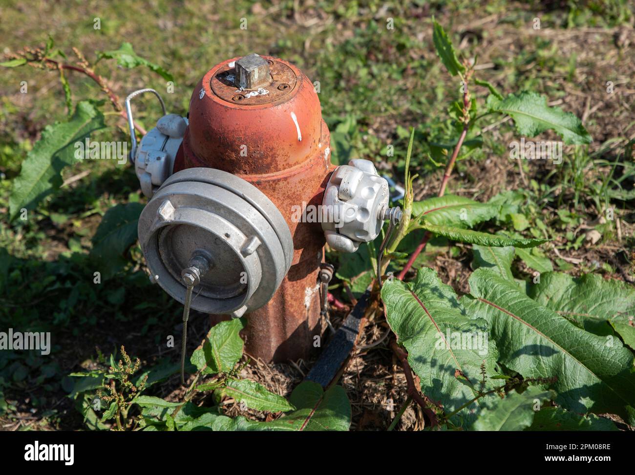 fire hydrant placed in garden Stock Photo Alamy