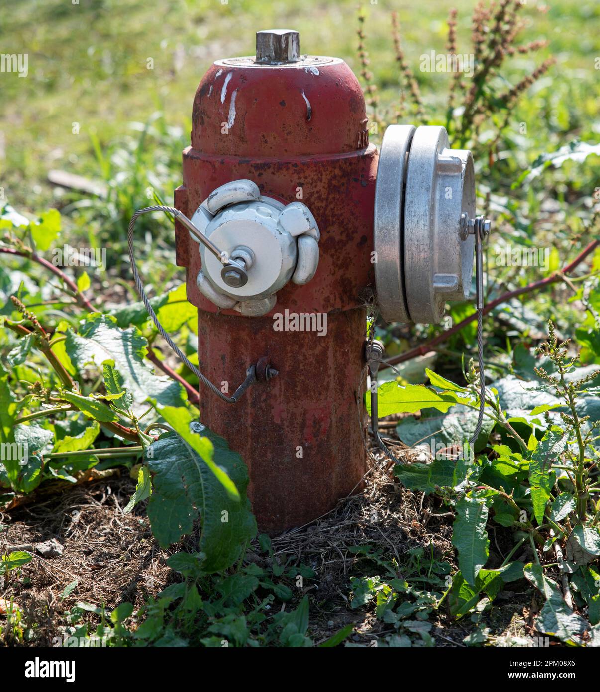 fire hydrant placed in garden Stock Photo Alamy