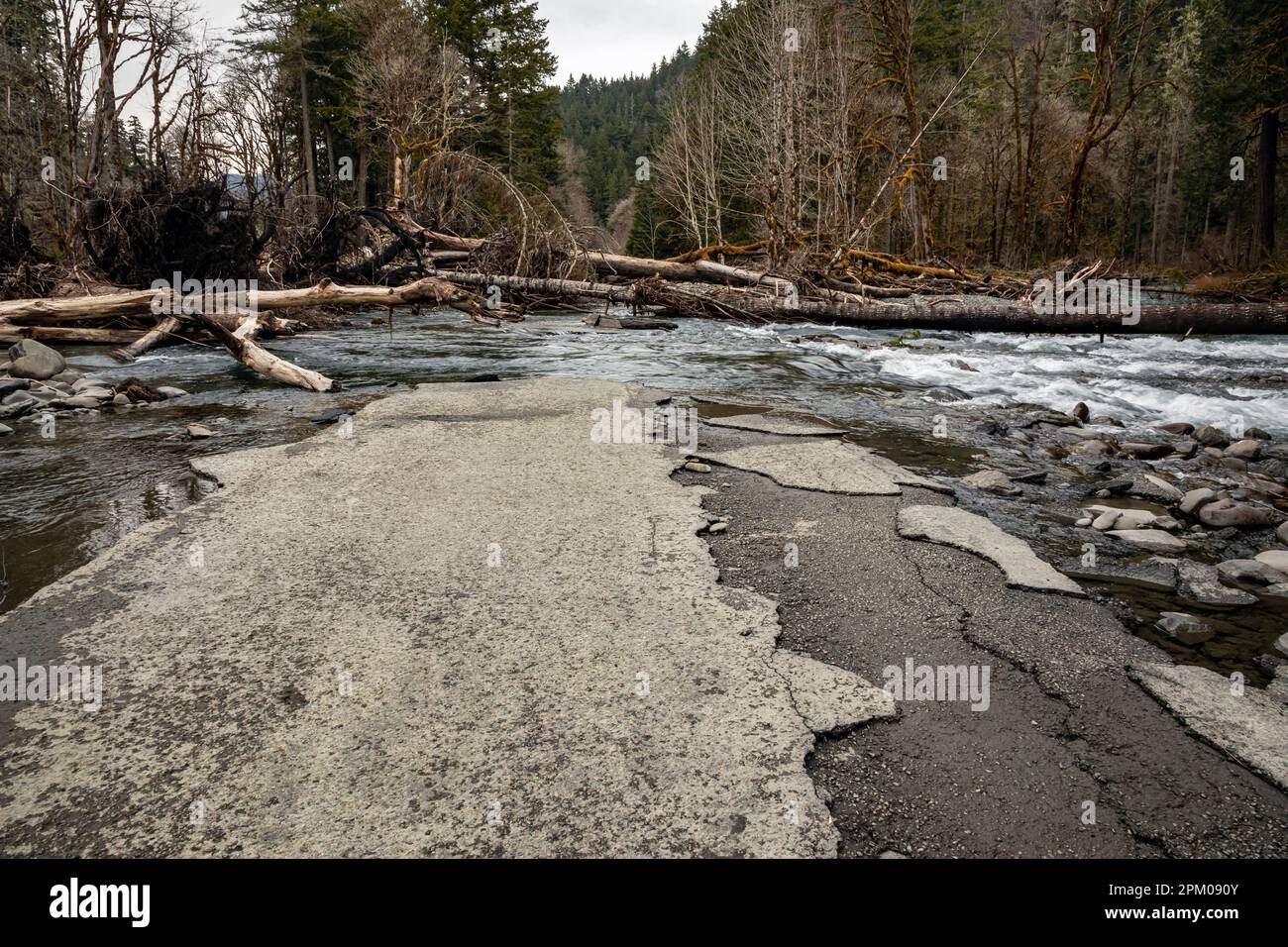 WA23316-00...WASHINGTON - After the Glines Canyon dam was removed, the Elwha River switched channels taking out the road and two campgrounds. Stock Photo