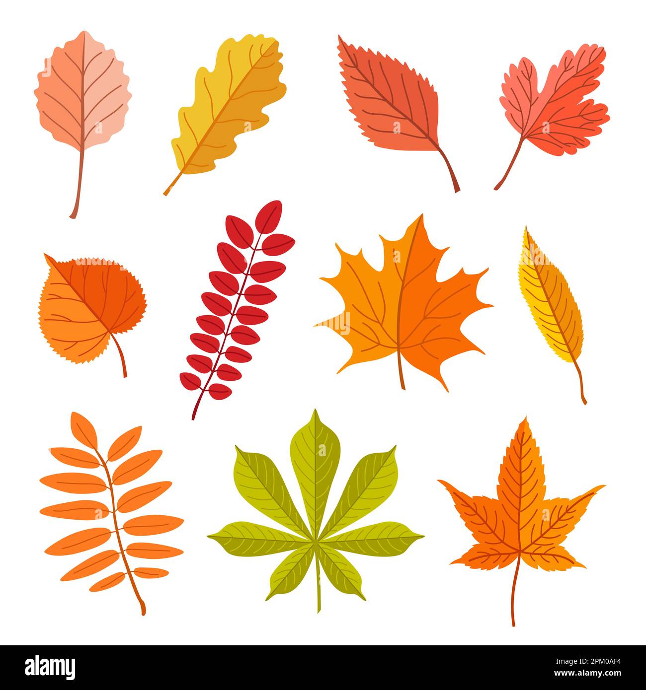 Fallen leaves of different trees vector illustrations set Stock Vector