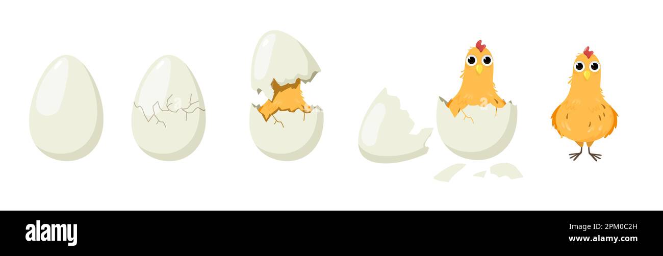 Cute chick hatching process set Stock Vector