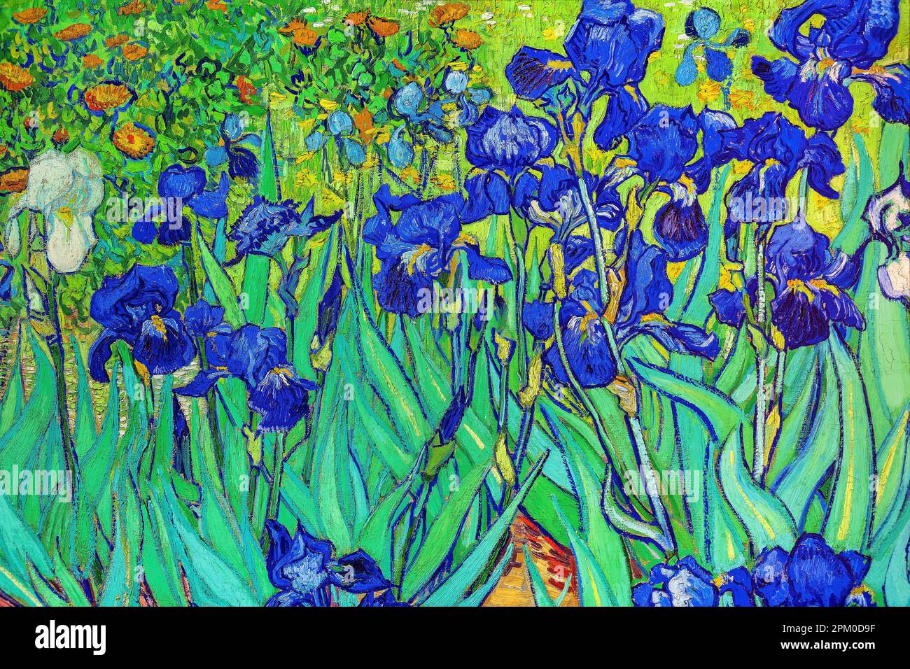 Irises, Vincent van Gogh painting Stock Photo
