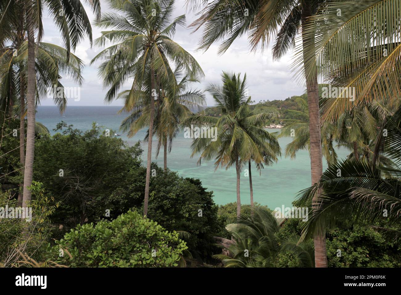 a Beach and Coast near the Town of Sairee Village on the Ko Tao Island in the Province of Surat Thani in Thailand,  Thailand, Ko Tao, March, 2010 Stock Photo