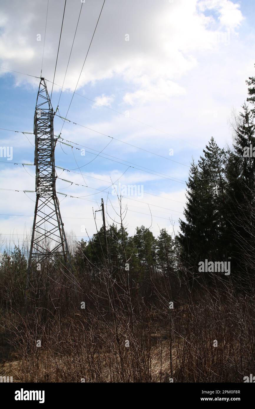 photo generators in the forest energized Stock Photo