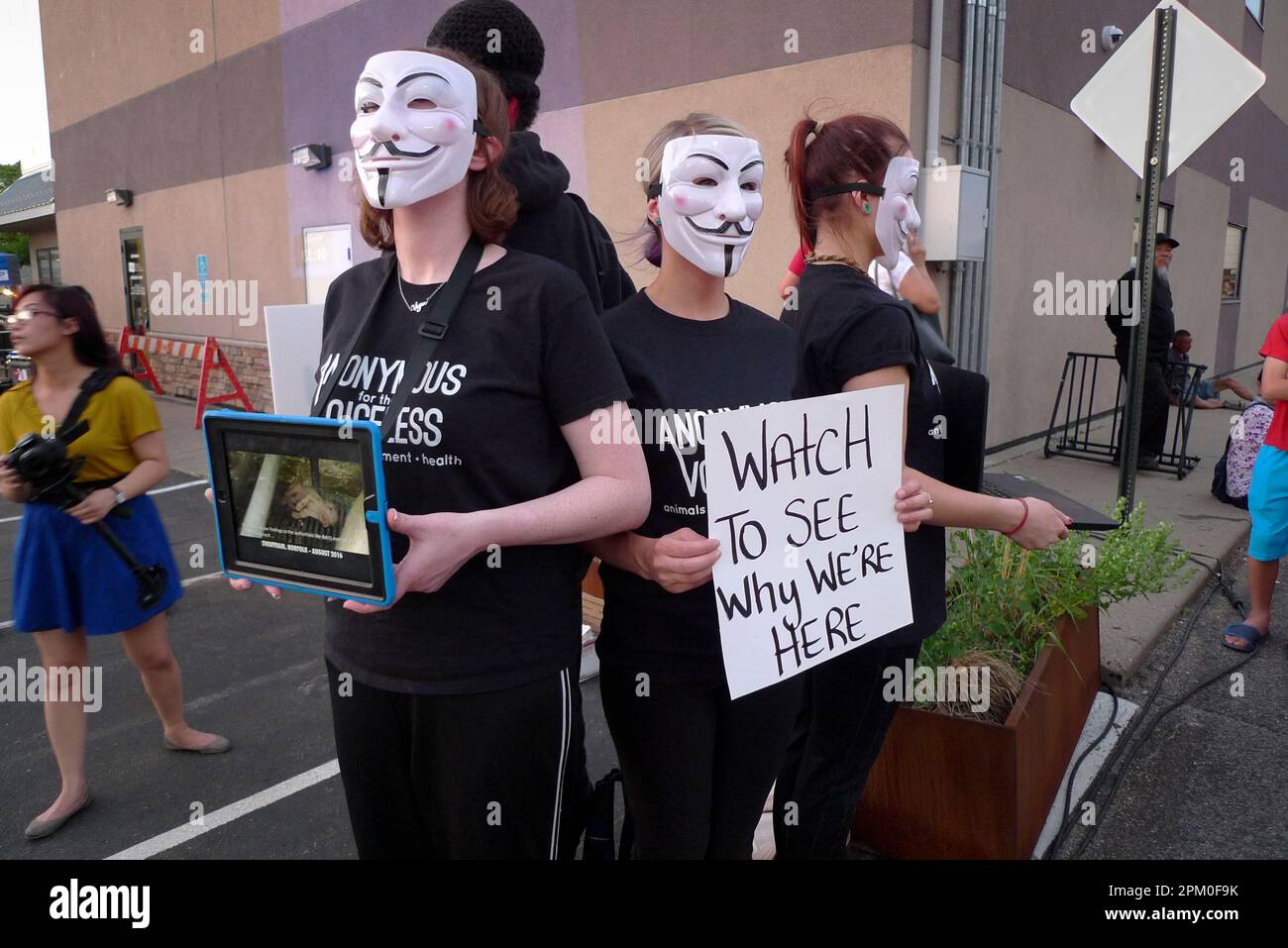 Anonymous for Voiceless vegan animal activists with The Cube of Truth holding signs, electronic devices, and wearing Guy Fawkes masks in St. Paul, MN. Stock Photo