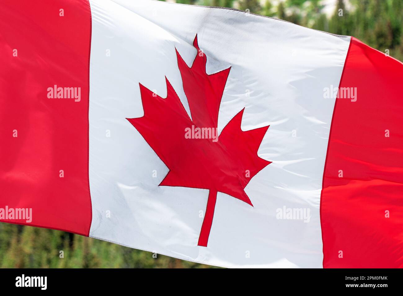 Canadian flag in Banff national park, Canada. Stock Photo