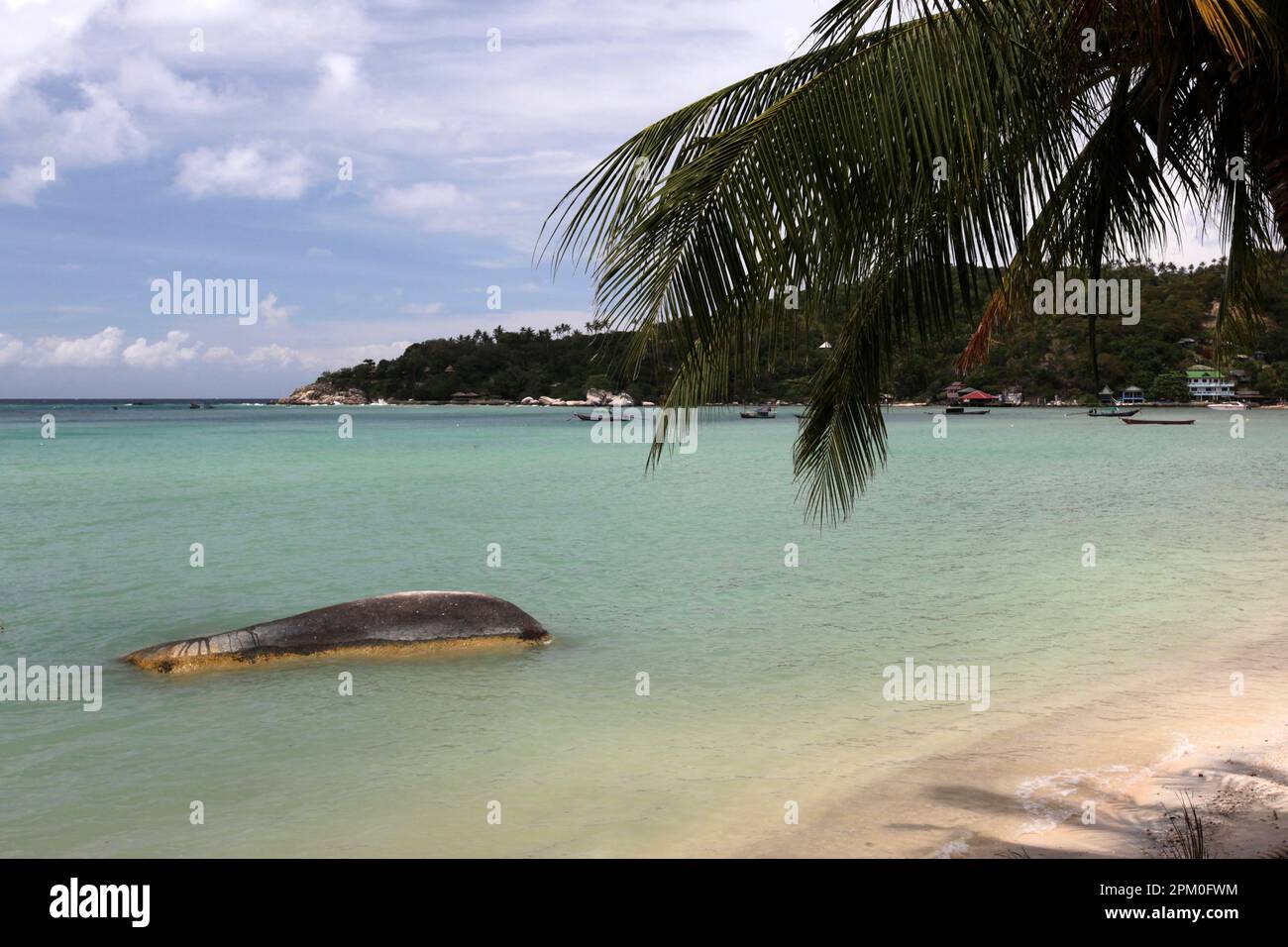a Beach and Coast near the Town of Sairee Village on the Ko Tao Island in the Province of Surat Thani in Thailand,  Thailand, Ko Tao, March, 2010 Stock Photo