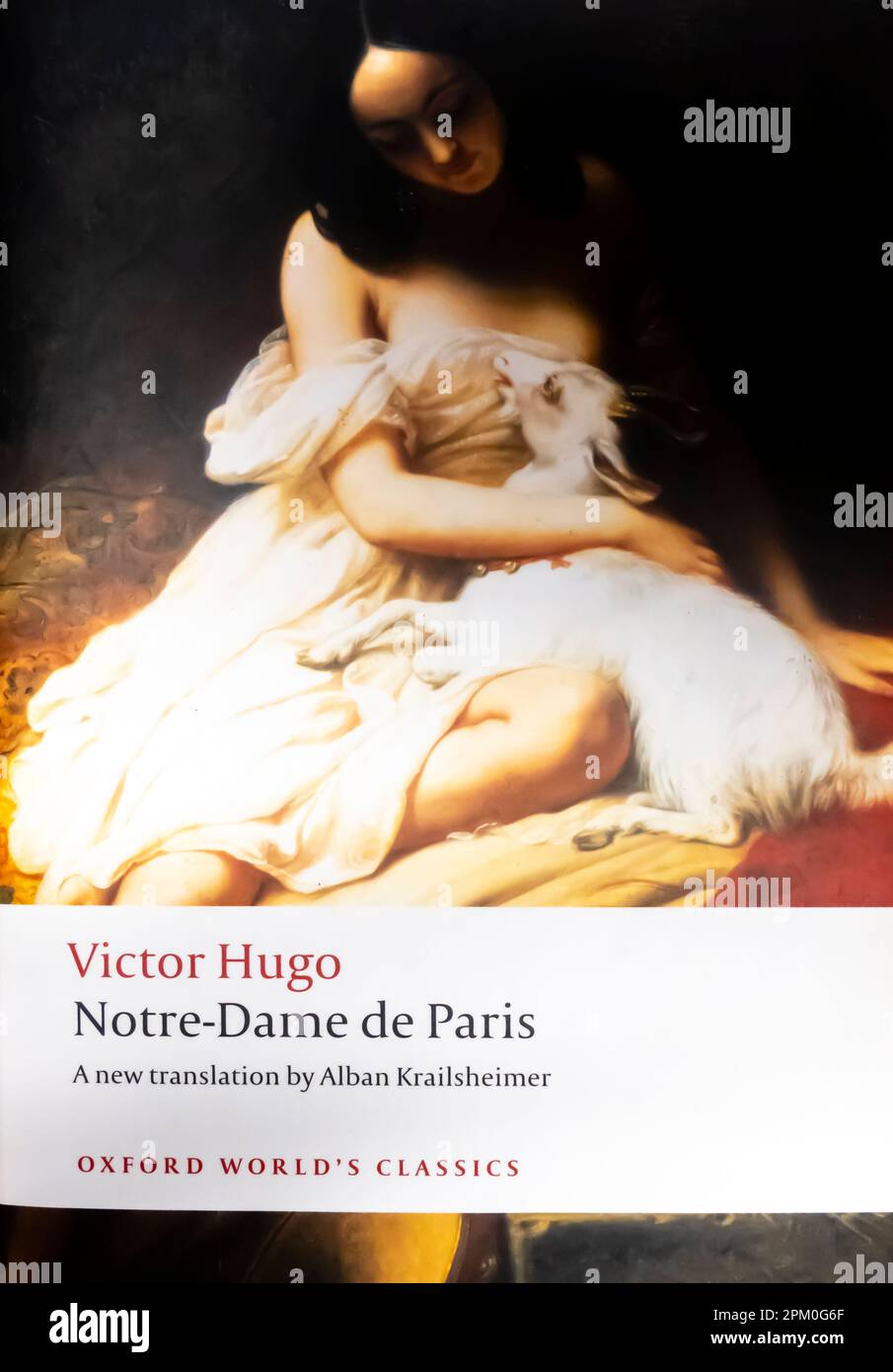Notre-Dame de Paris (Oxford World's Classics) Paperback 2009 by Victor Hugo (Author), Alban Krailsheimer (Translator) Stock Photo