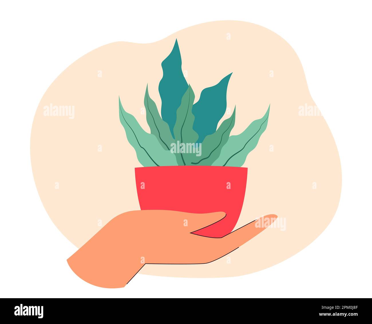 Person holding potted plant Stock Vector Images - Alamy