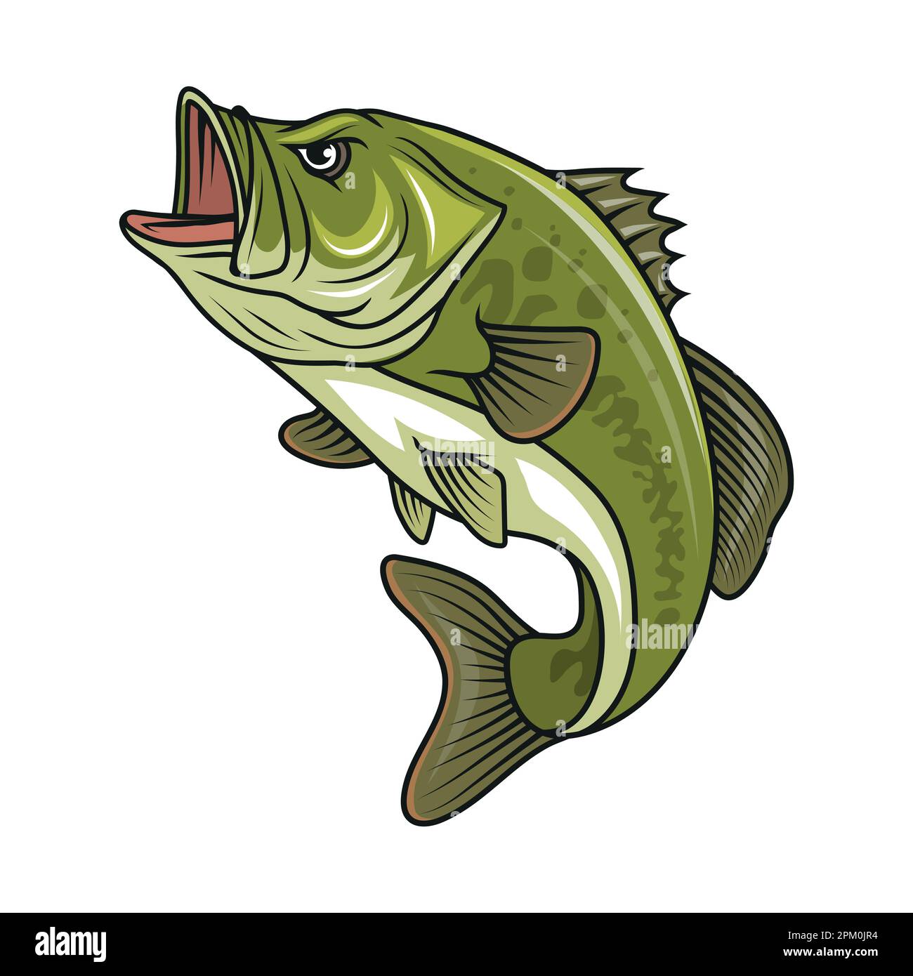 Bass fish. Vector illustration of largemouth perch fish Stock Vector