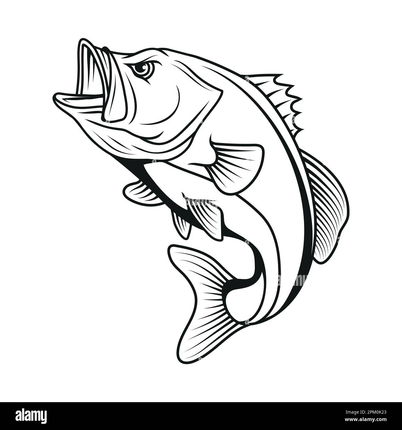 Bass fish. Vector illustration sketch of largemouth perch fish Stock Vector