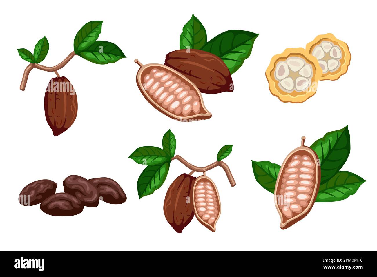 Cocoa beans cartoon illustration set Stock Vector Image & Art Alamy