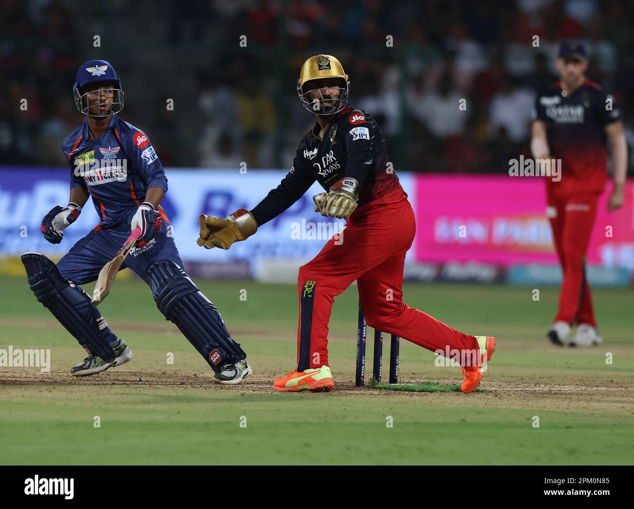 Wicket keeper hi-res stock photography and images - Alamy