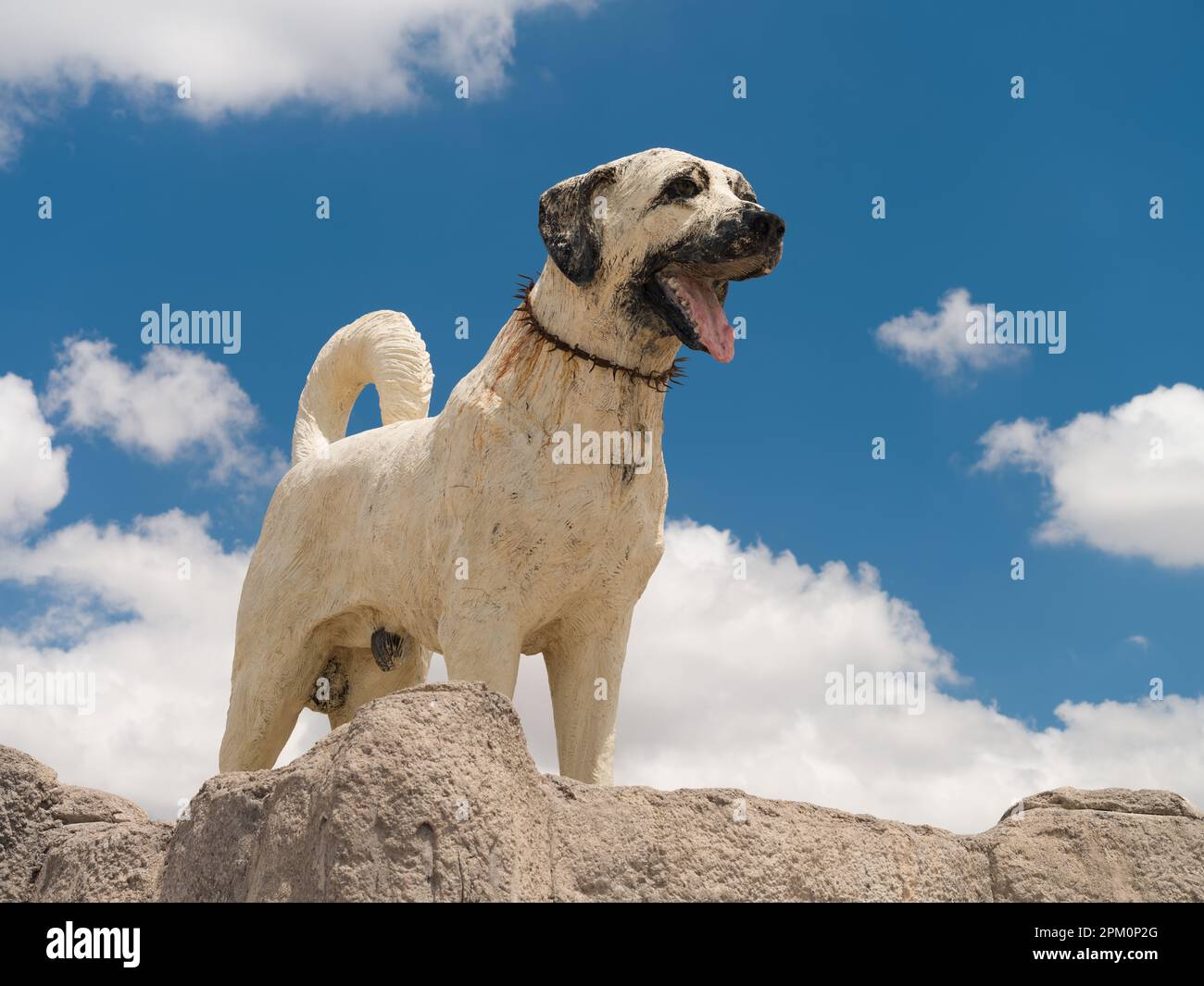 Kangal, Sivas, Turkey- 17 June 2021. Sivas ilinin sembolü Kangal dog statue in Kangal district Stock Photo