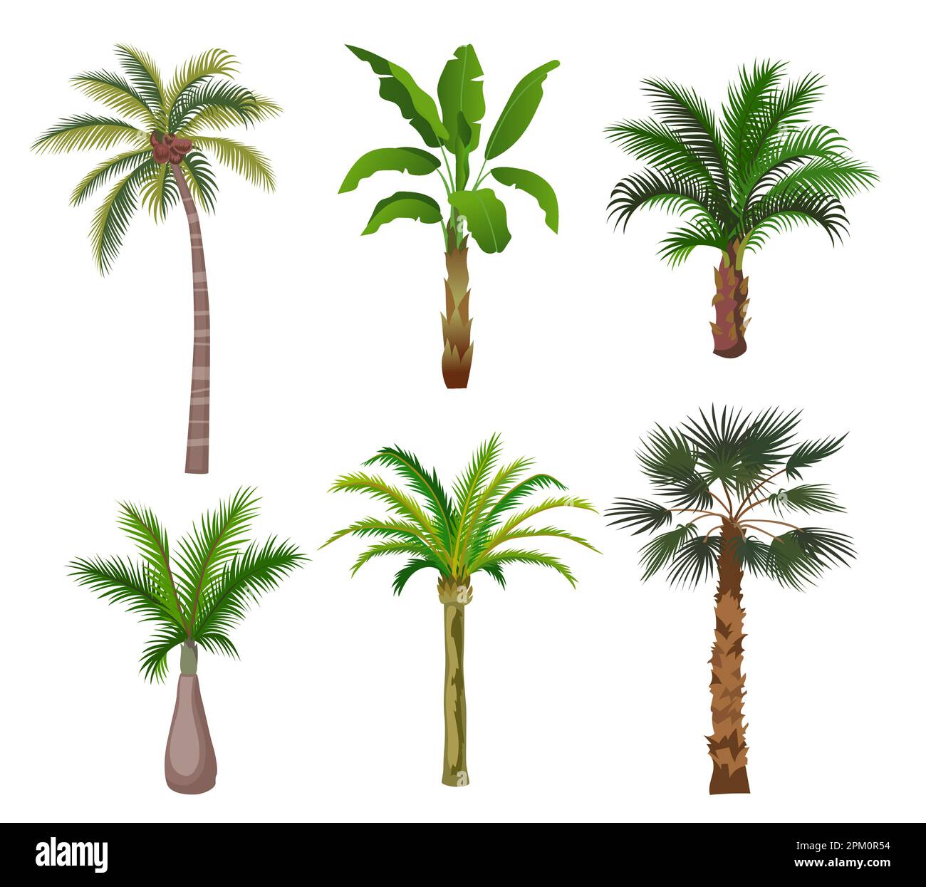 Palm trees cartoon illustration set Stock Vector Image & Art Alamy