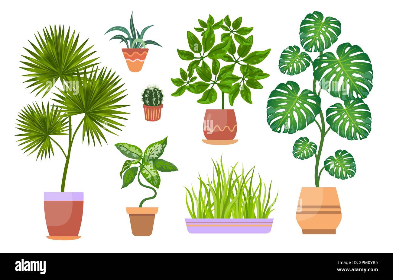 Houseplants in flowerpots flat vector illustrations set Stock Vector ...