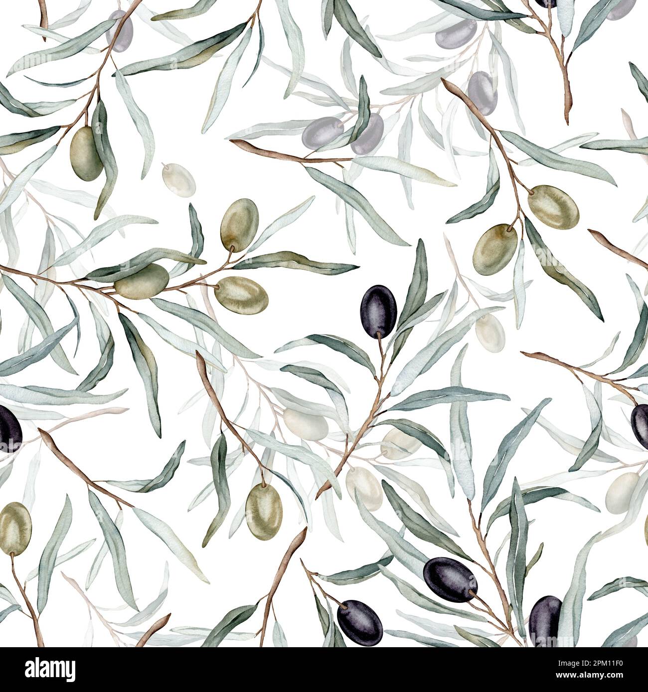 Watercolor seamless pattern with black and green olives and branch ...
