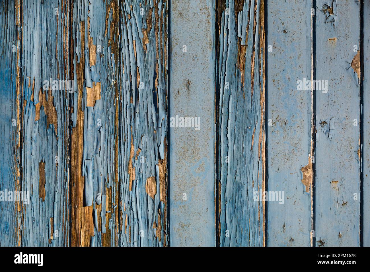 Peeling blue paint on old neglected wooden garage door in Netherbury