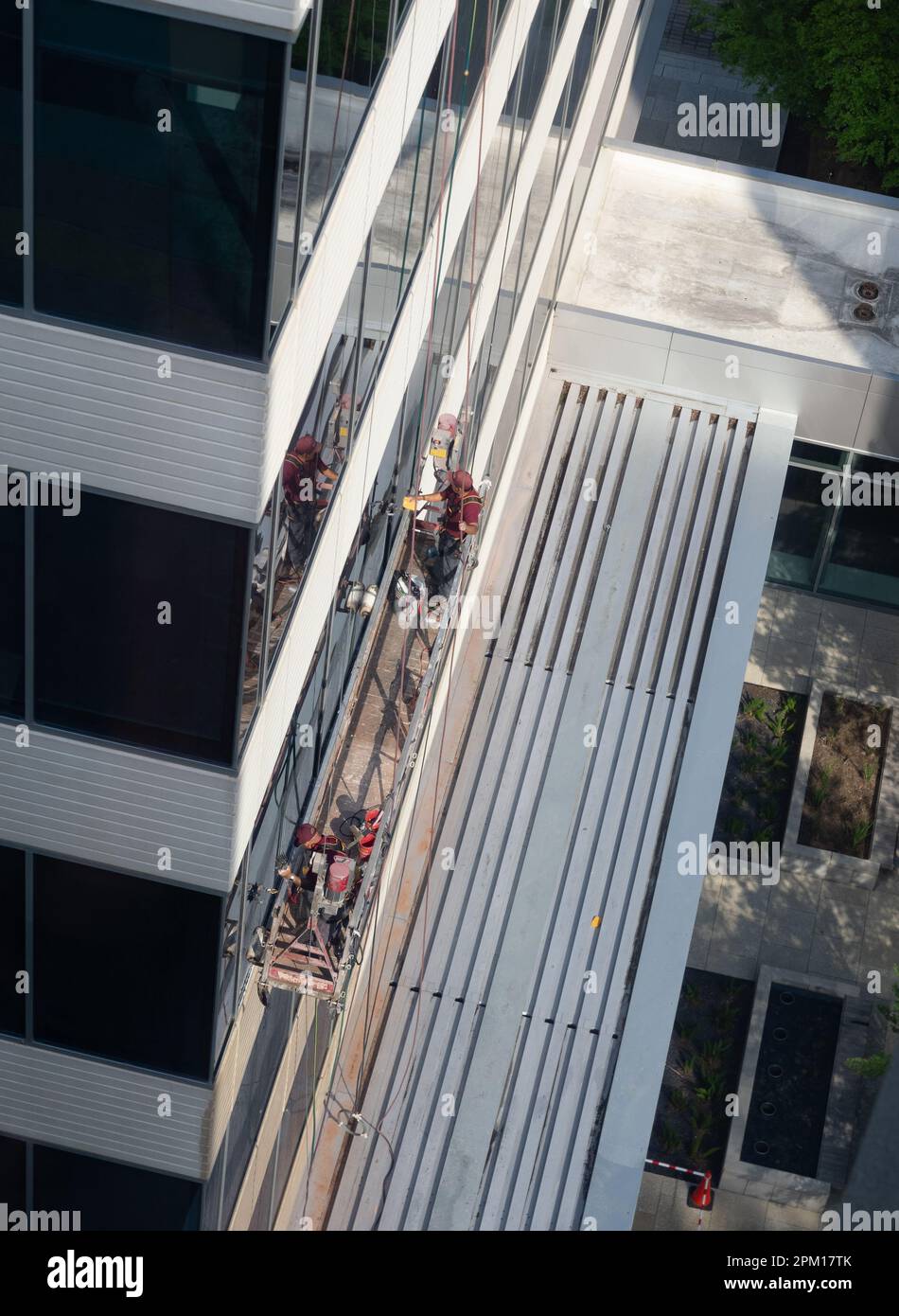 High angle view of two window washers cleaning windows on an office building in The Woodlands, Texas, while standing on a suspended scaffold. Stock Photo