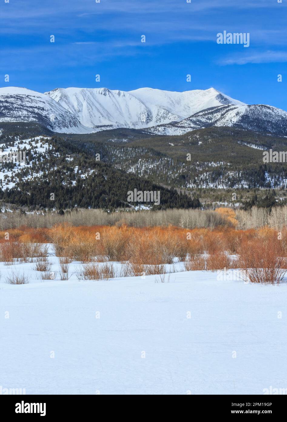 mount haggin in the anaconda range above the warm springs creek valley
