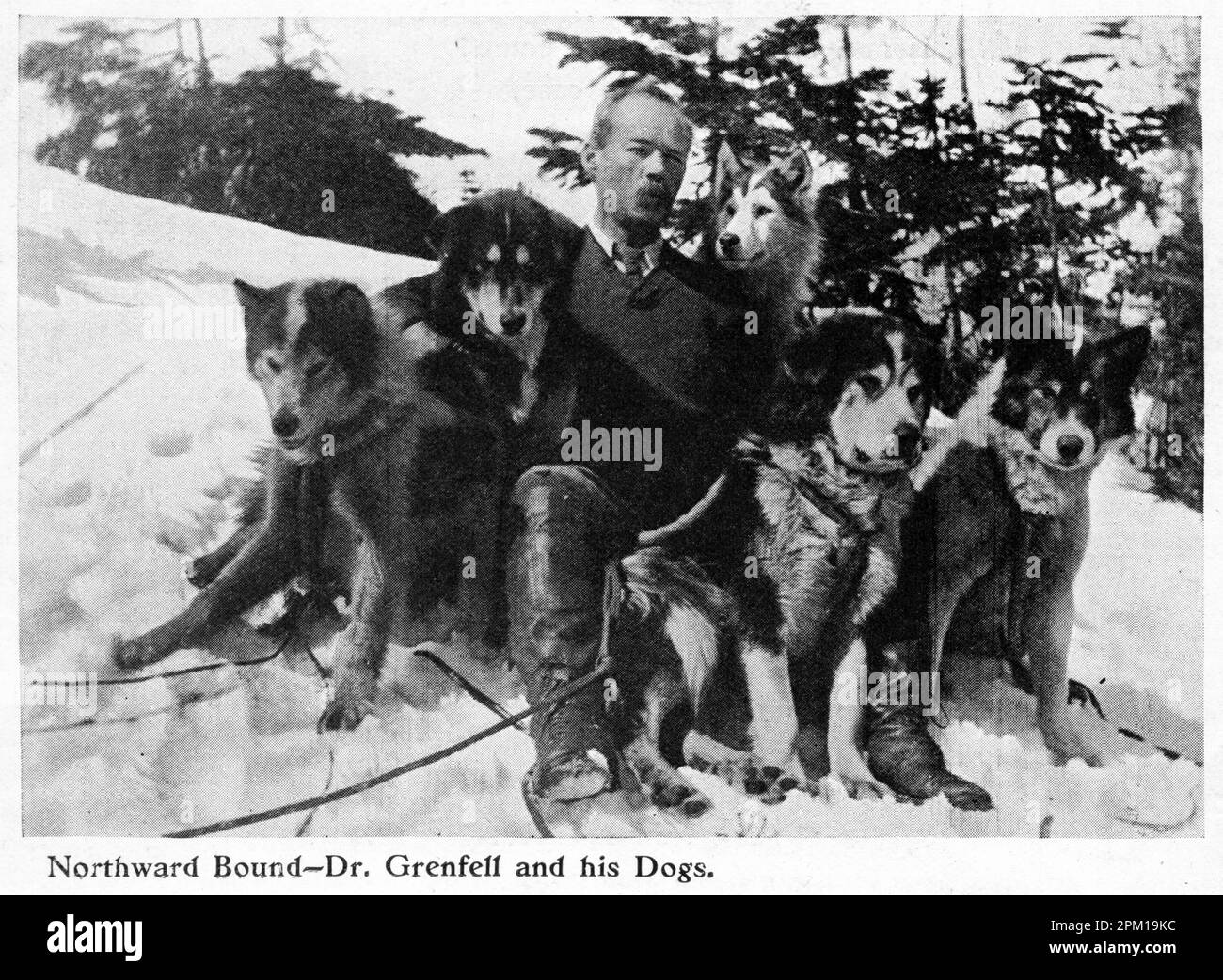 Dr Wilfred Grenfell with his sled dogs used for bringing patients in Newfoundland,  Canada. Stock Photo