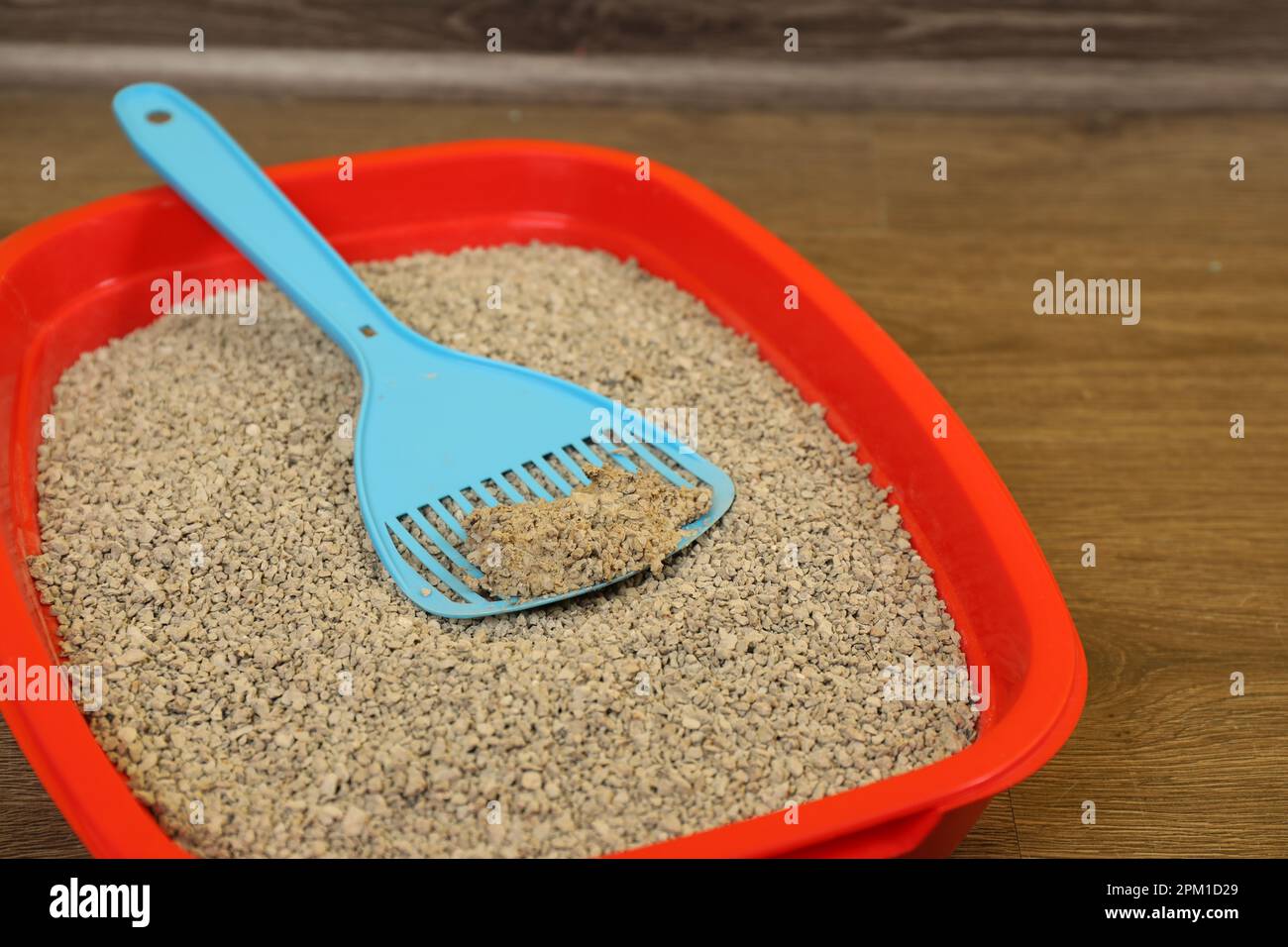 Cat tray with clumping litter and scoop on floor, closeup Stock Photo
