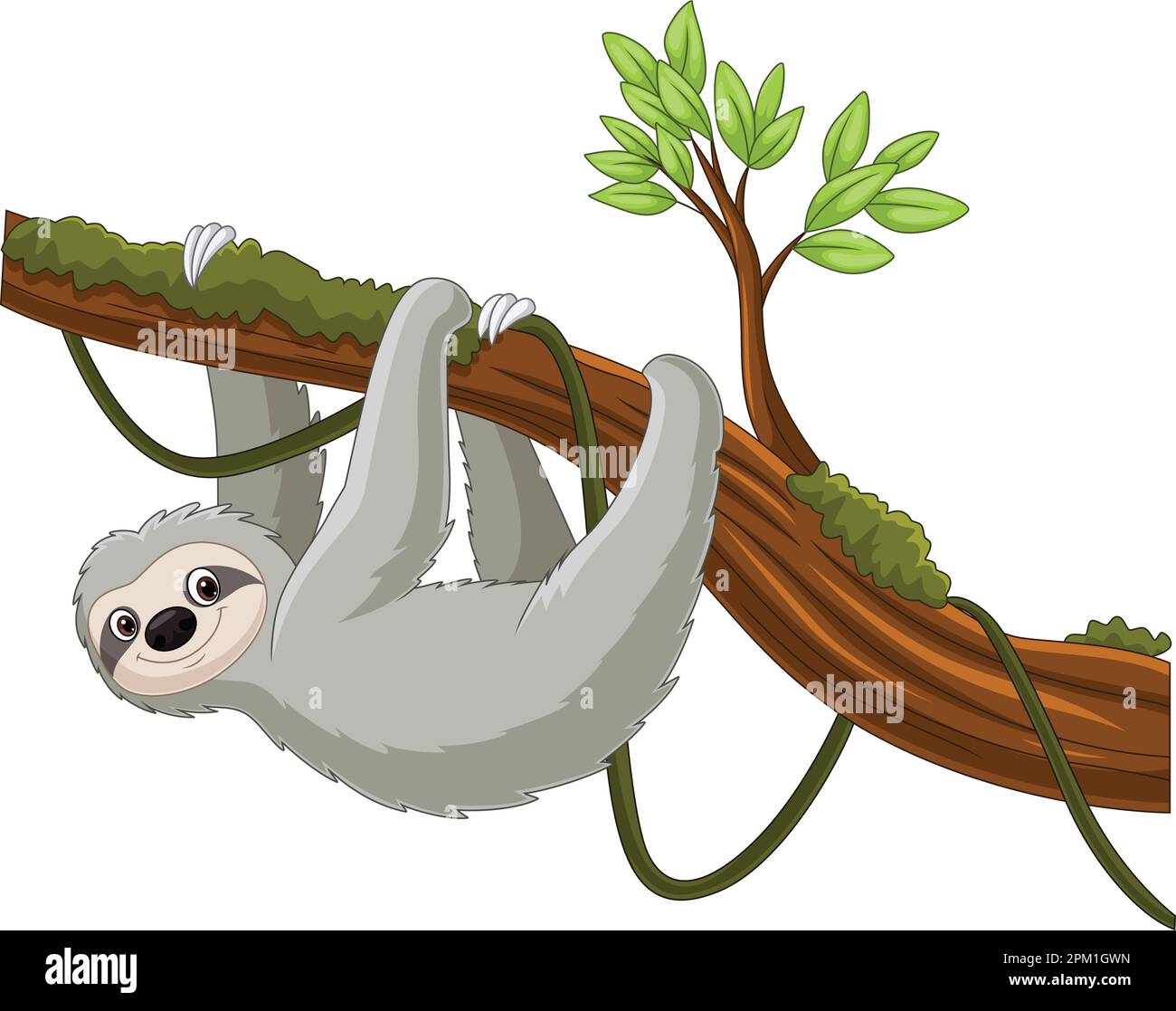 Cartoon sloth hanging on a tree branch Stock Vector Image & Art - Alamy
