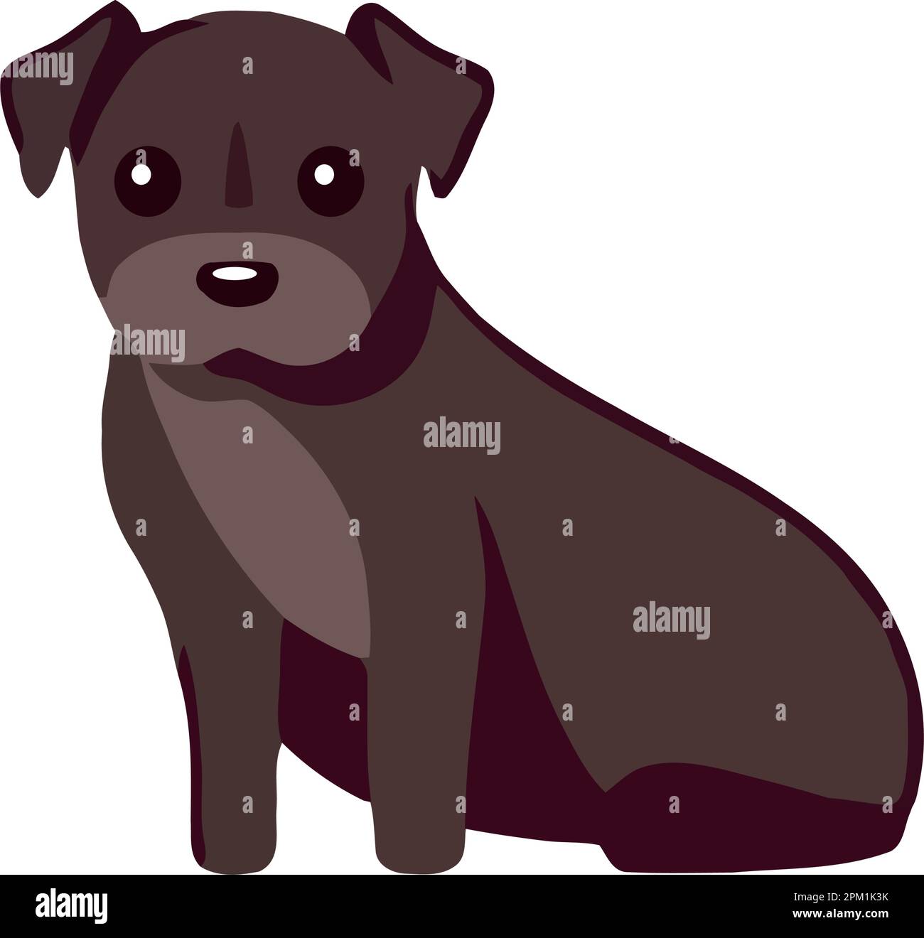 Cute purebred pet sitting Stock Vector Image & Art - Alamy