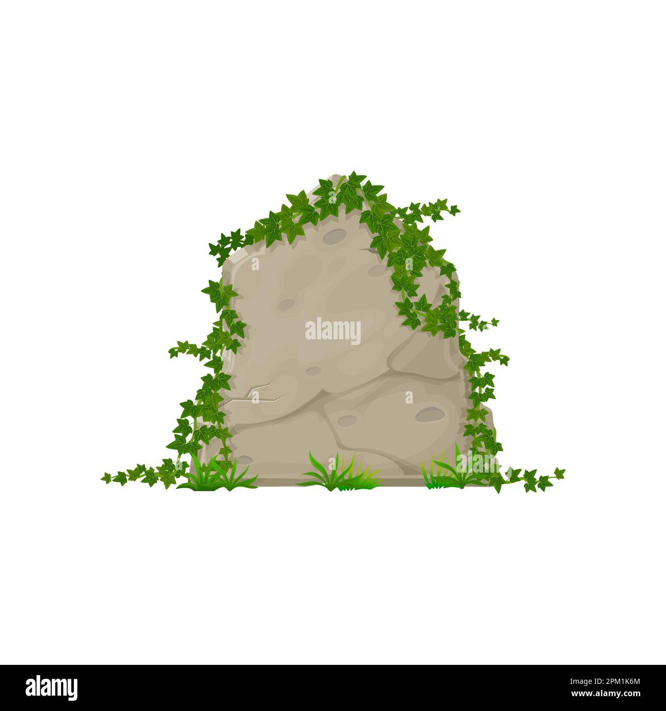 Stone board with ivy leaves, cartoon climping hedera on jungle rock panel. Vector border with natural ive branches, garden summer foliage on stone Stock Vector