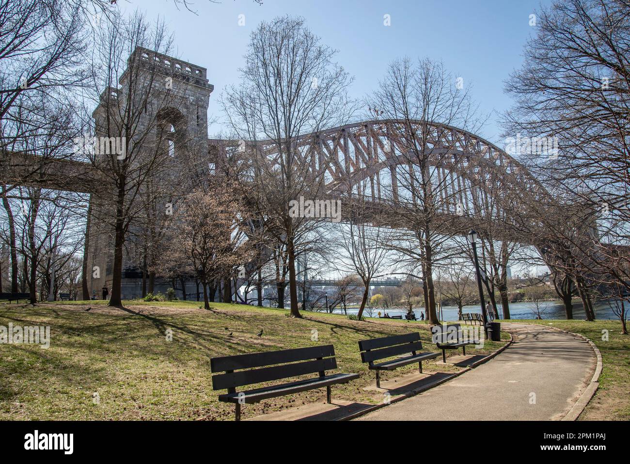 Bridges In New York