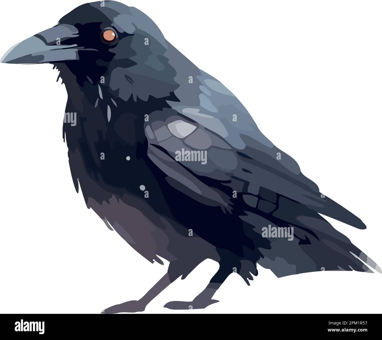 Feathered bird crow animal wild Stock Vector Image & Art - Alamy