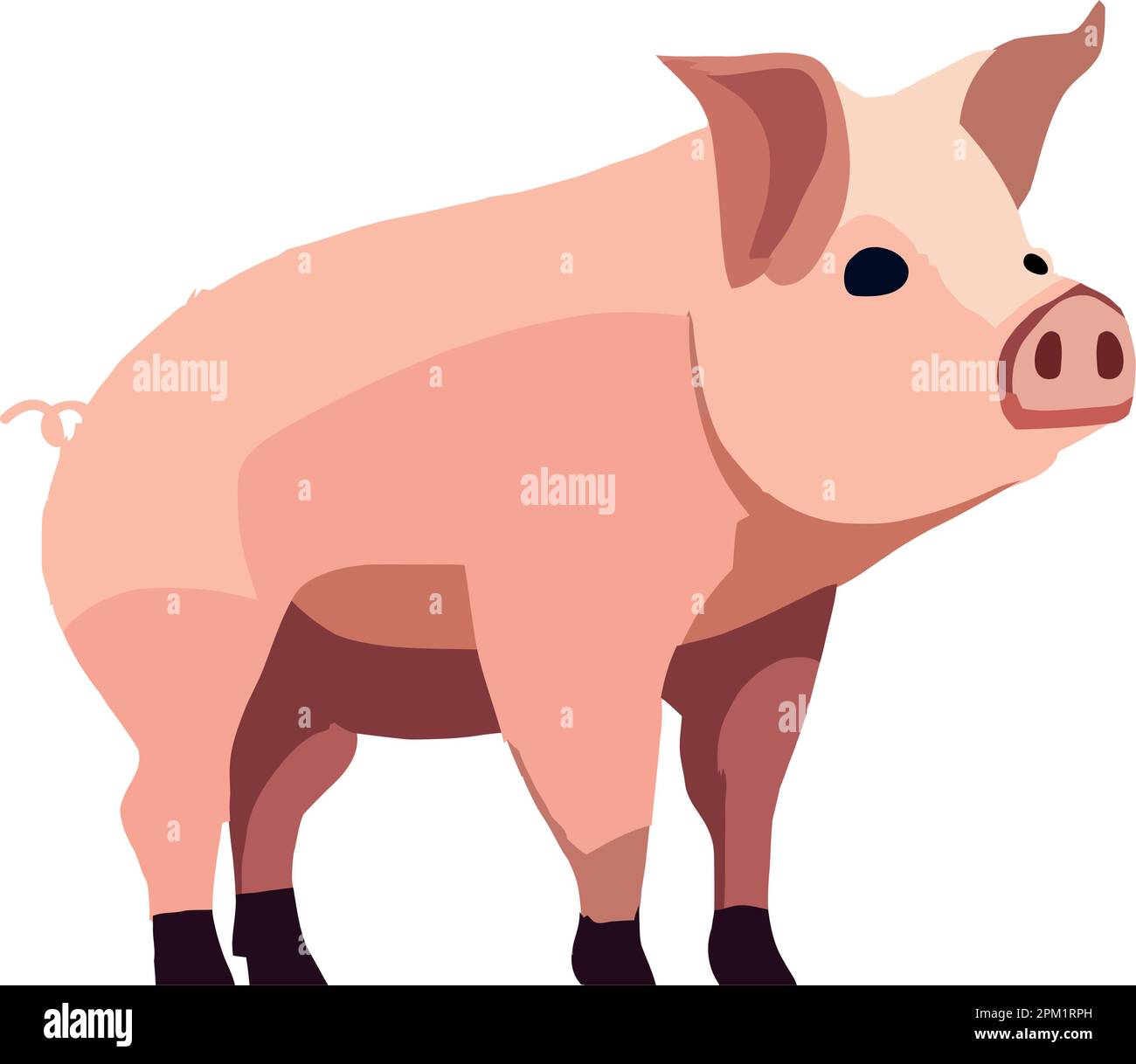 flat pig image Stock Vector Image & Art - Alamy