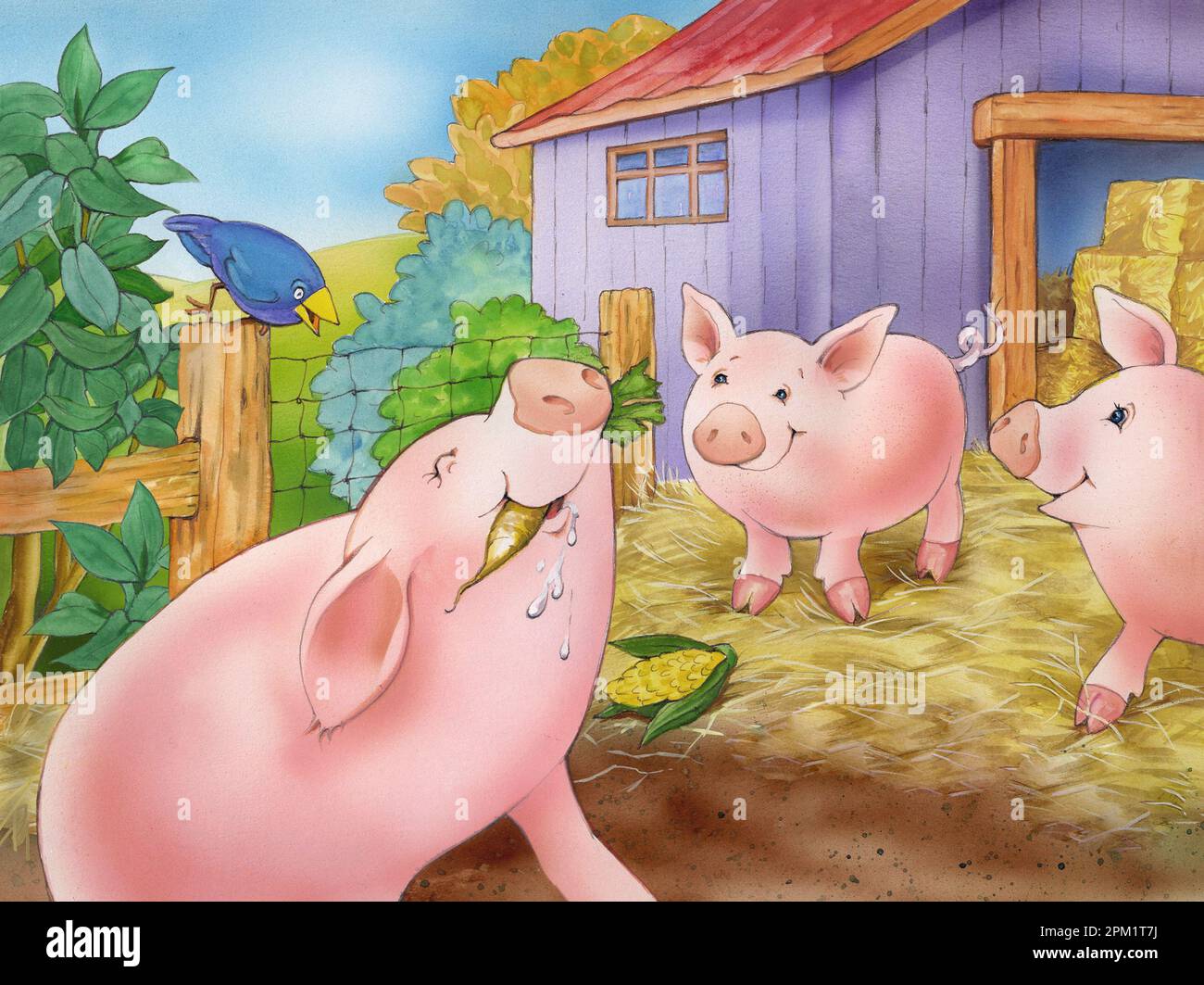 AnimalsPigs in a pen on farm Stock Photo Alamy