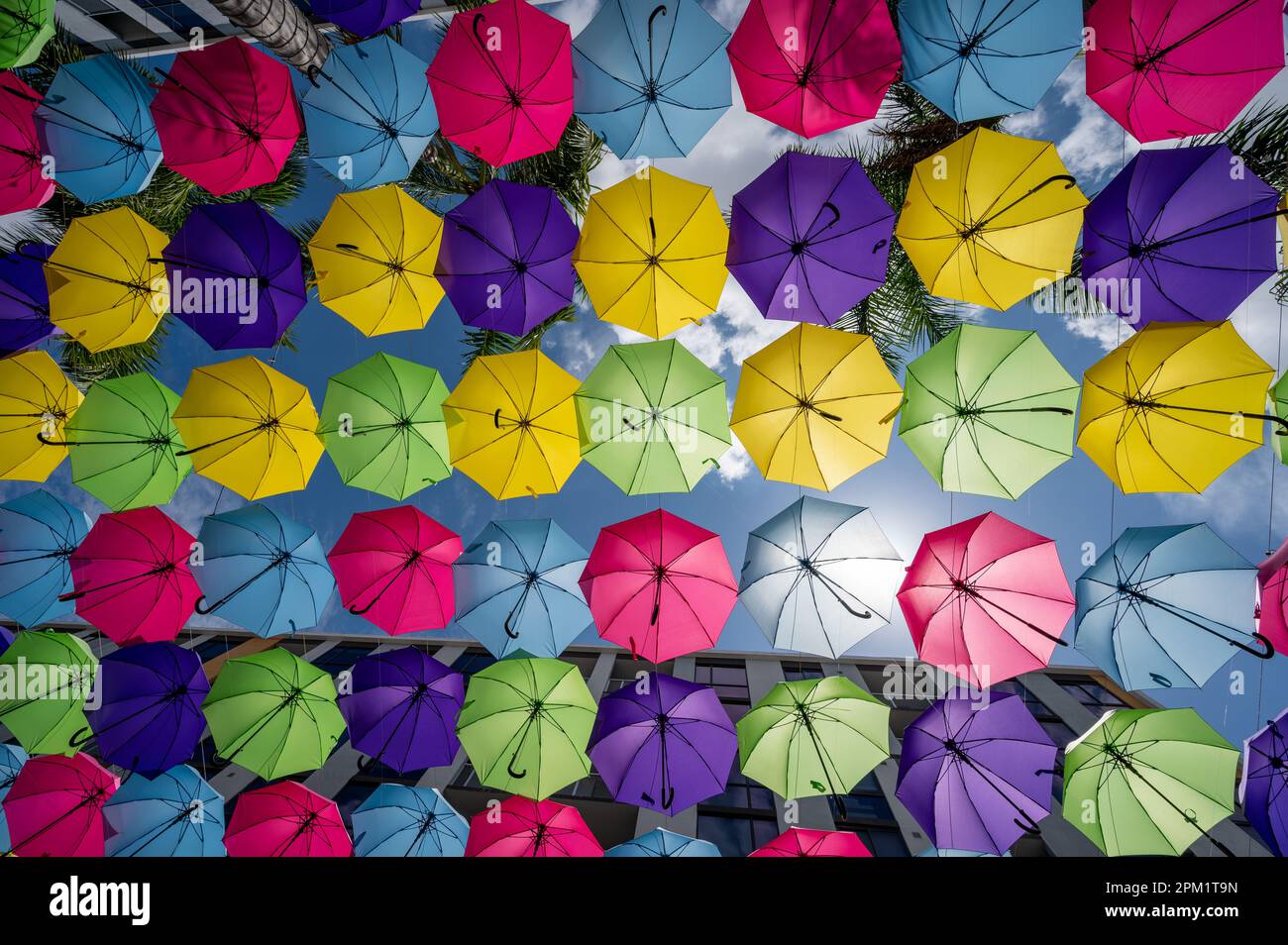 Doral, Florida April 9, 2023 Canopy of colorful umbrellas suspended