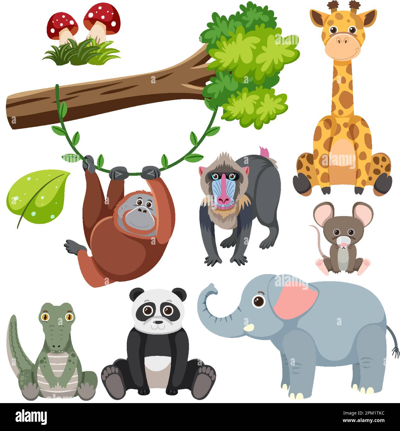 Wild Animals Cartoon Collection illustration Stock Vector Image & Art