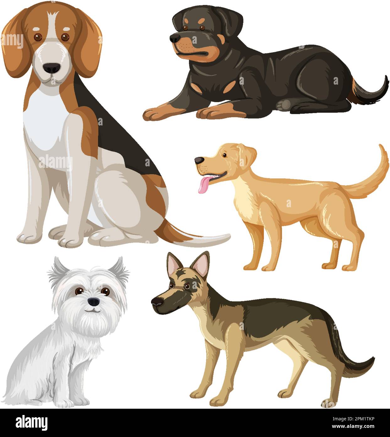 Set of dog dog breeds cartoon illustration Stock Vector Image & Art - Alamy
