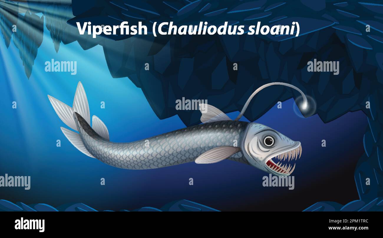 Viperfish (Chauliodus sloani) Vector illustration Stock Vector