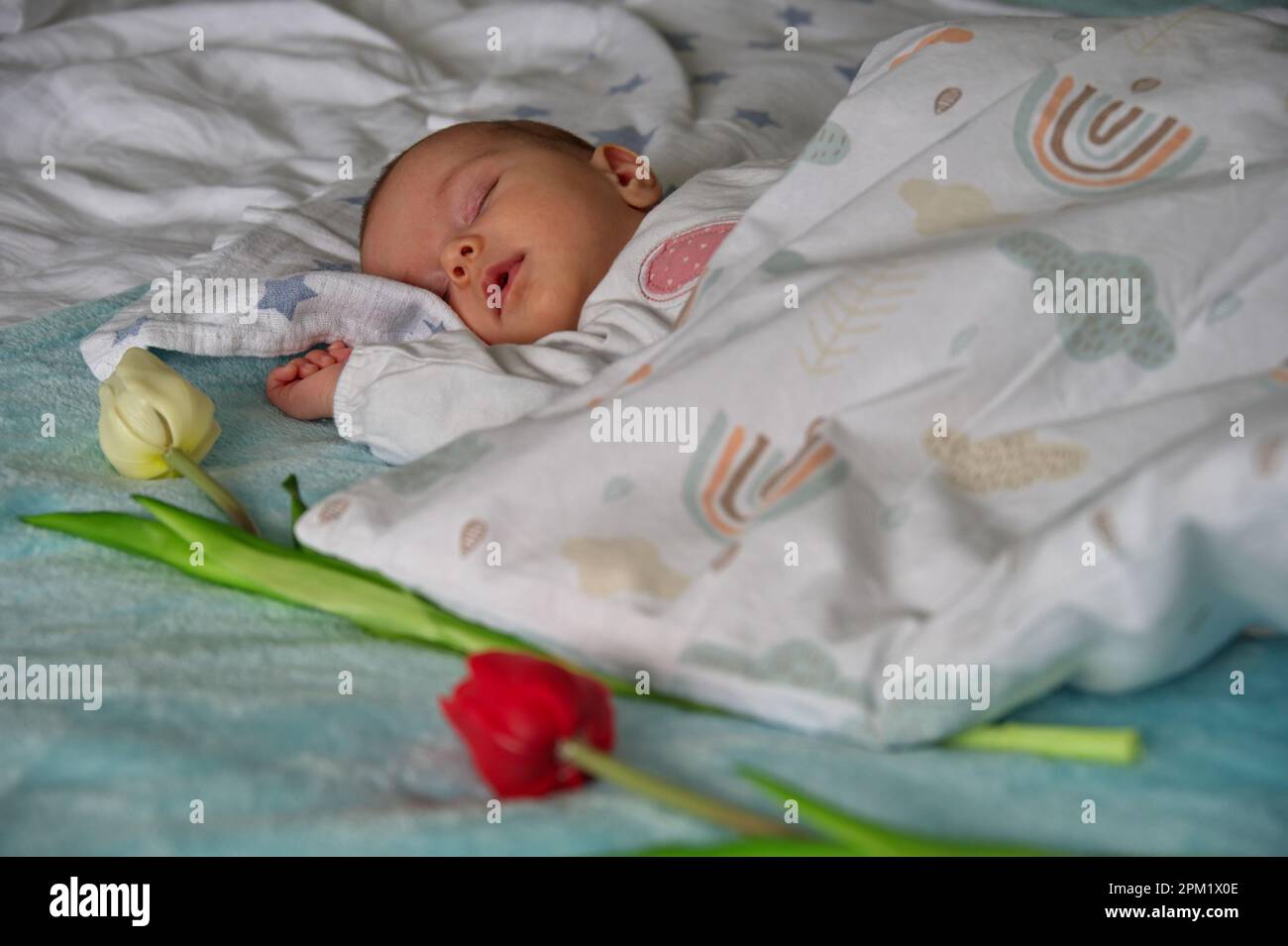 Portrait of cute newborn baby sleeping in bed with tulips around her