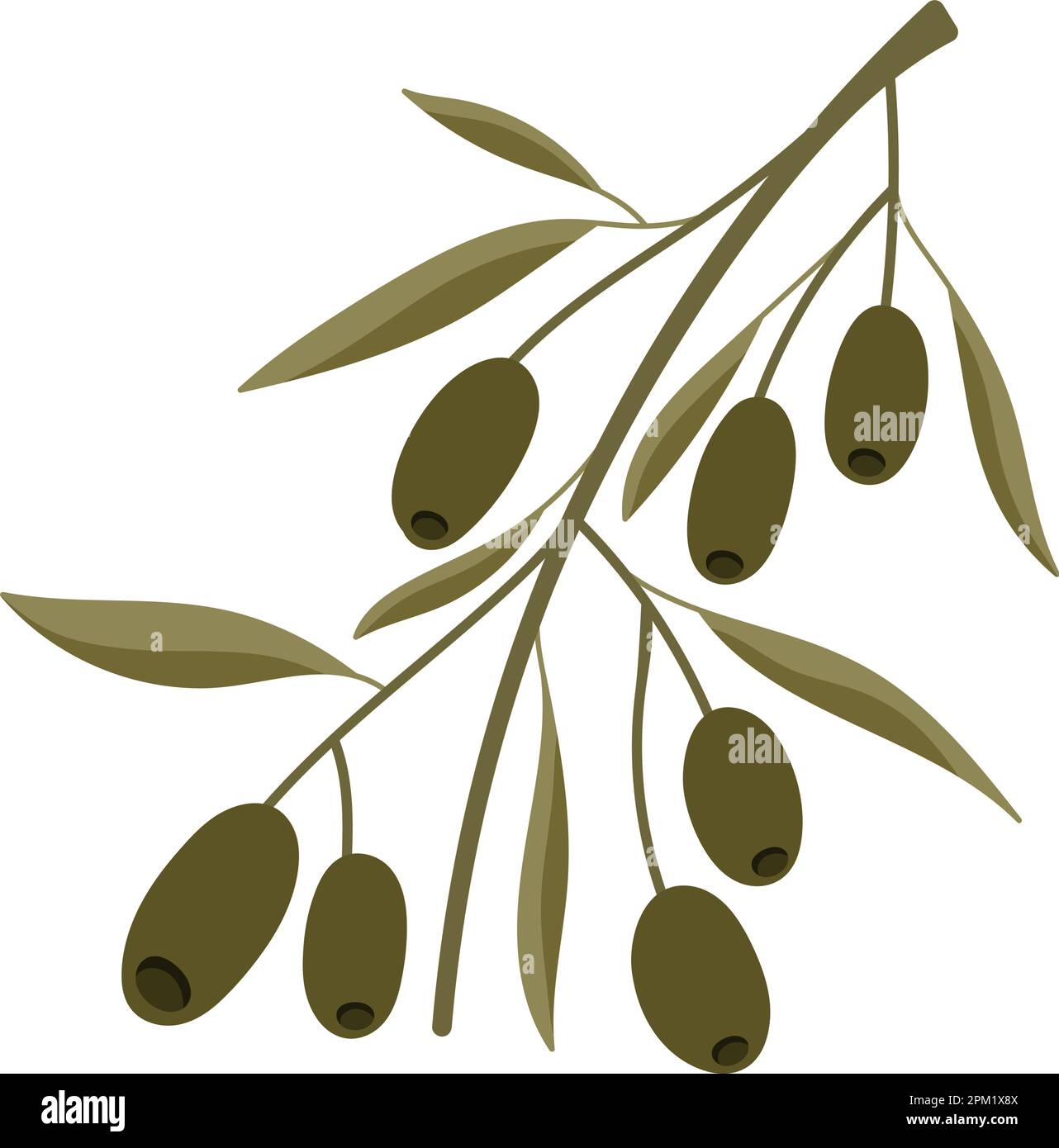 Olive trees agriculture Stock Vector Images Alamy