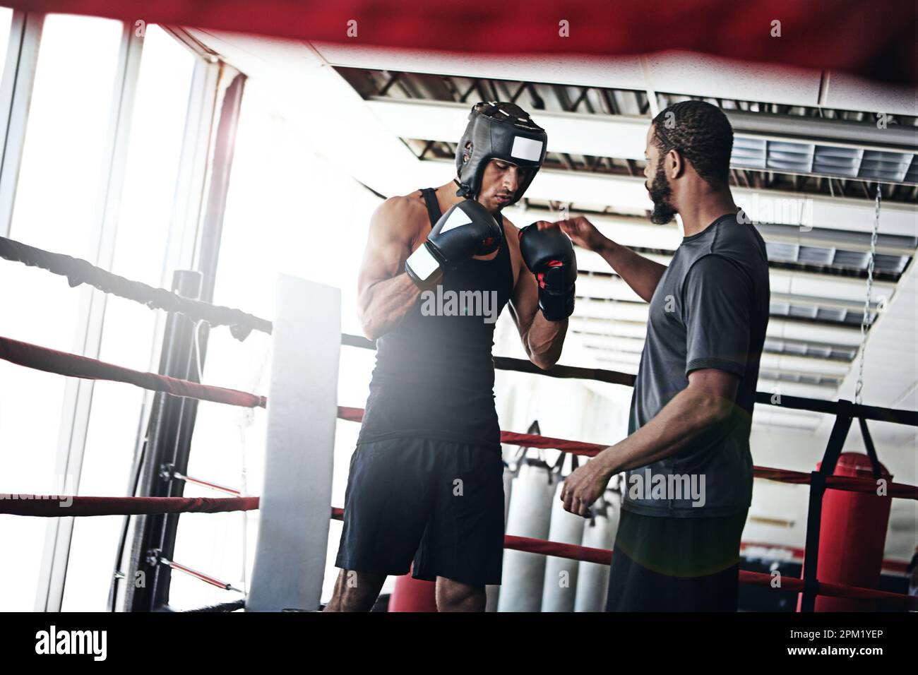 Whats passion if you cant pass it on. a man training in the boxing ring ...