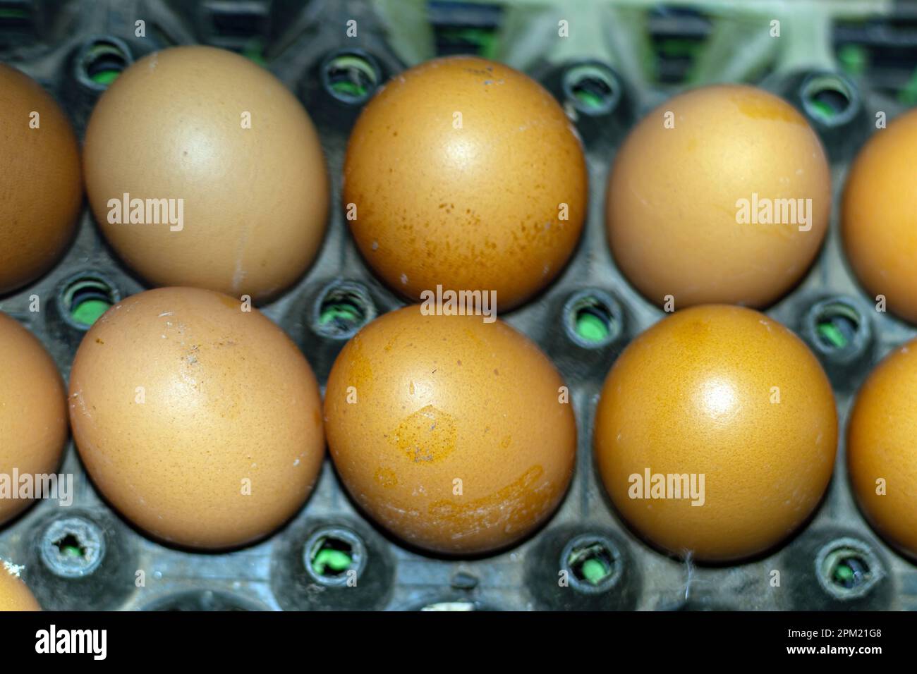 Single eggs are a natural source of many nutrients including high
