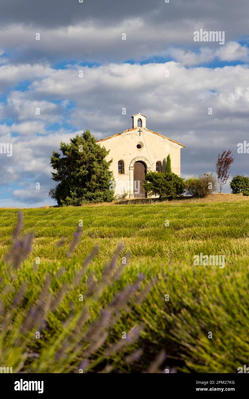 Chapel in Plateau de Valensole, Provence, France Stock Photo