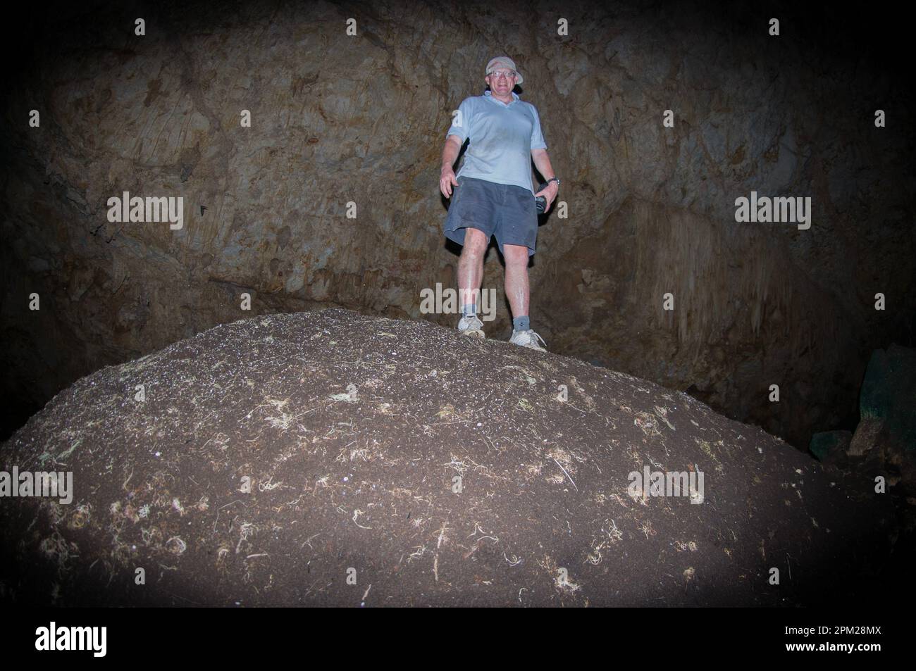 Man standing on mound of droppings from the Christmas Island Glossy Swiftlet, Collocalia natalis, Daniel Roux Cave, Christmas Island, Australia Stock Photo