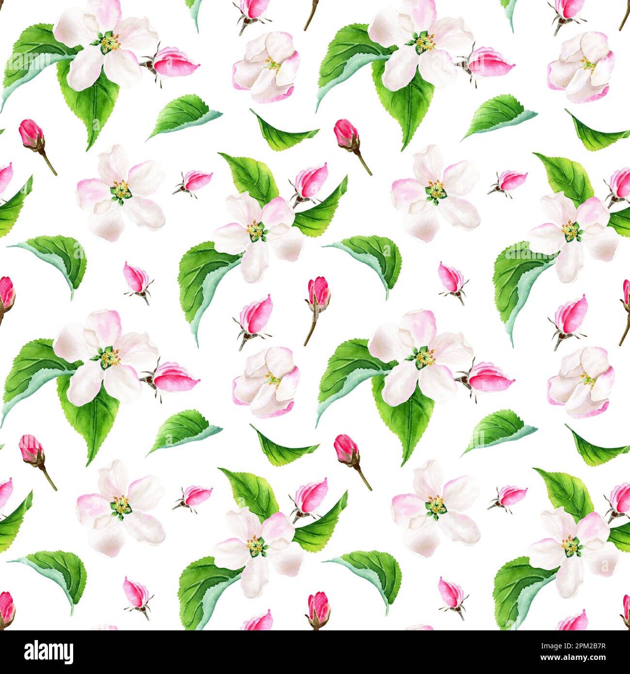 Seamless pattern with apple tree floral elements. Watercolor ...
